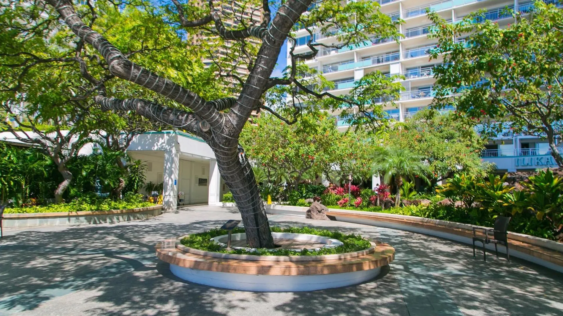 Ilikai Tower 2109 City View 2Br هونولولو 0*,